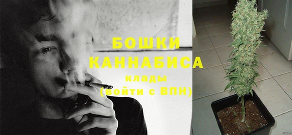 каннабис Беломорск