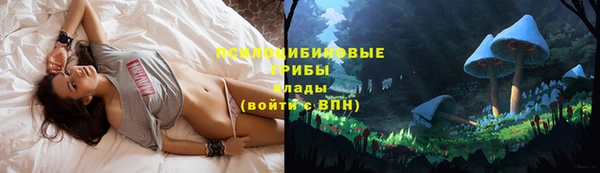 каннабис Беломорск