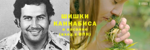 дмт Белокуриха