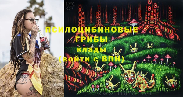 молекула духа Липки