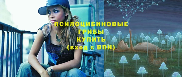 дмт Белокуриха