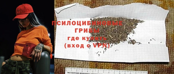 дмт Белокуриха