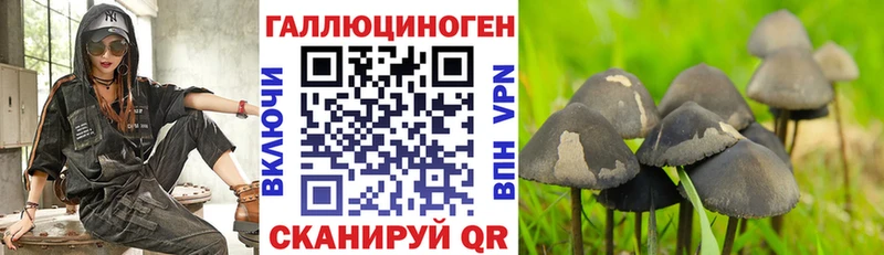 цена   KRAKEN рабочий сайт  Псилоцибиновые грибы Cubensis  Бородино 